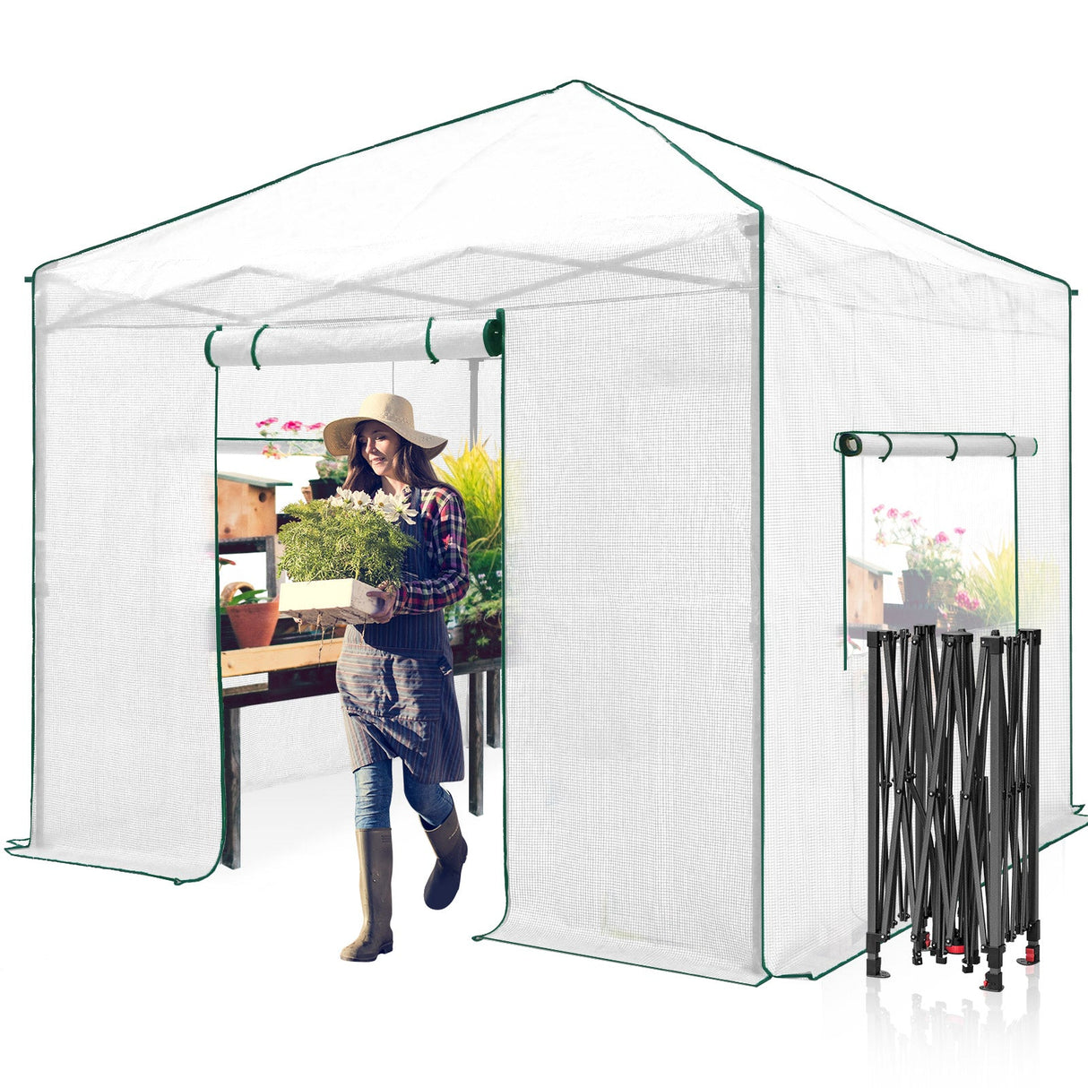 10x10 Walk In Pop Up Greenhouse - Eagle Peak Custom Canopy Tent