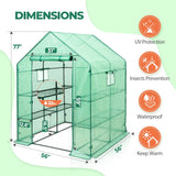 57'' x 57'' x 77'' Mini Walk - in Greenhouse - Eagle Peak Custom Canopy Tent