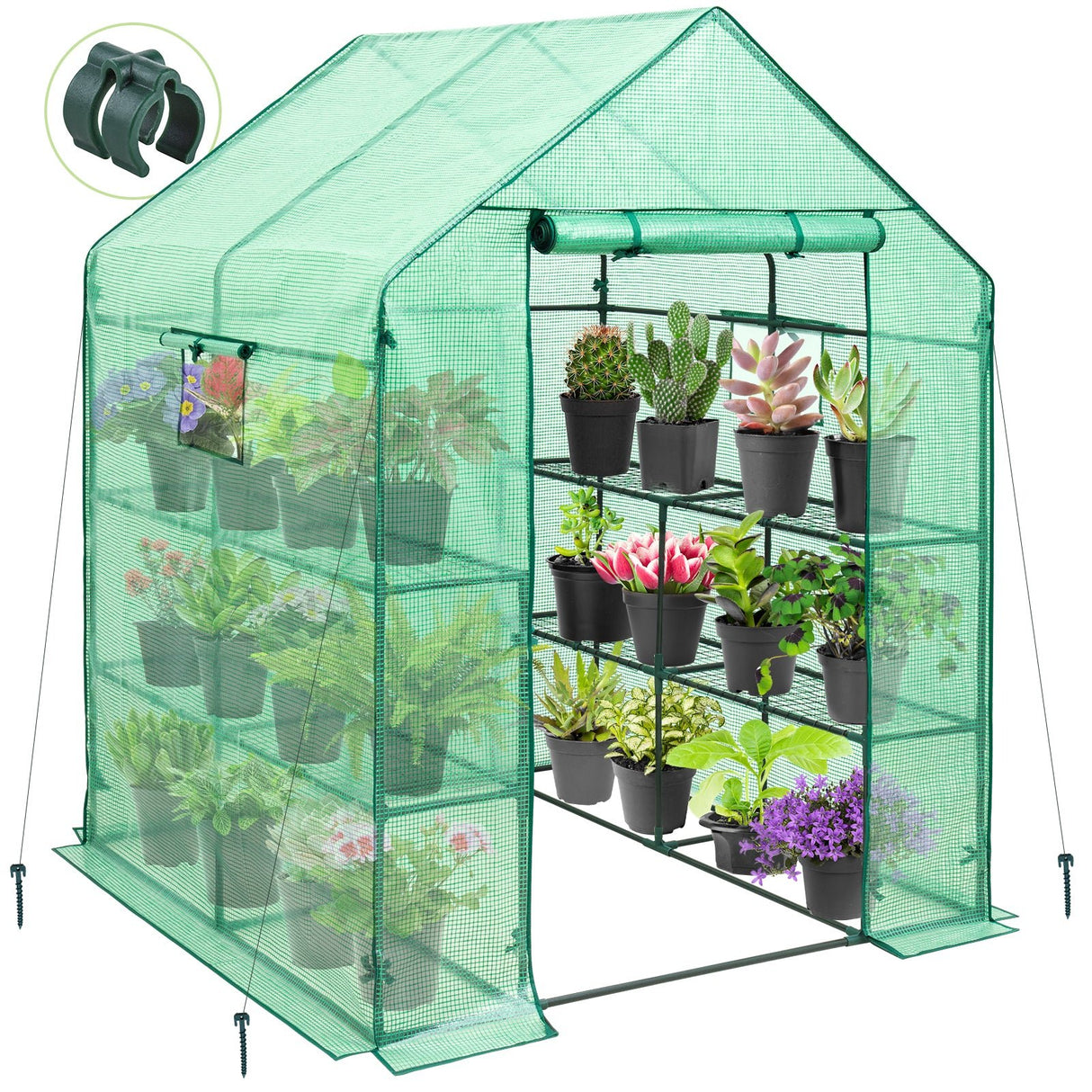 57'' x 57'' x 77'' Mini Walk - in Greenhouse - Eagle Peak Custom Canopy Tent