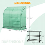 6.6x3.3x6.9 Outdoor Lean to Walk - in Greenhouse with Shelf - Eagle Peak Custom Canopy Tent