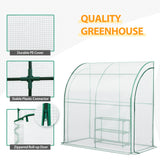 6.6x3.3x6.9 Outdoor Lean to Walk - in Greenhouse with Shelf - Eagle Peak Custom Canopy Tent