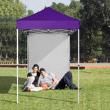 5x5 Straight Leg Pop Up Canopy Tent with One Removable Sunwall