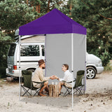 5x5 Straight Leg Pop Up Canopy Tent with One Removable Sunwall