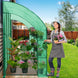 9.9x4.9x7.1 Outdoor Lean to Walk-in Greenhouse with Shelf