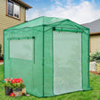 8x6 Walk - in Greenhouse with Upgraded Screen Mesh Door - Eagle Peak Custom Canopy Tent