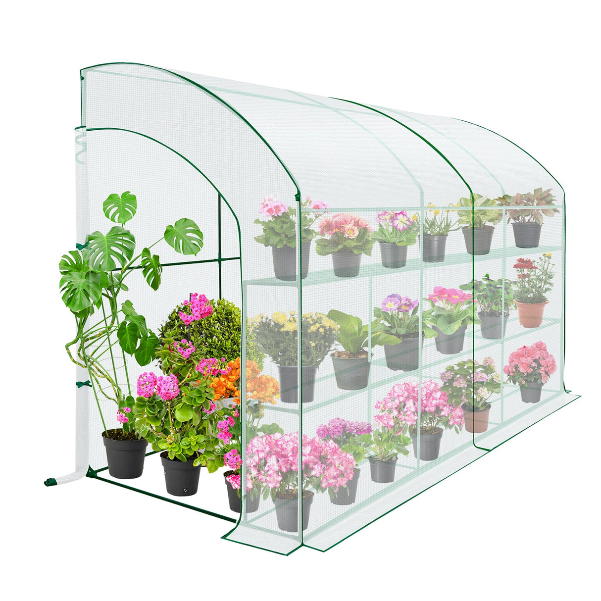 9.9x4.9x7.1 Outdoor Lean to Walk - in Greenhouse with Shelf - Eagle Peak Custom Canopy Tent