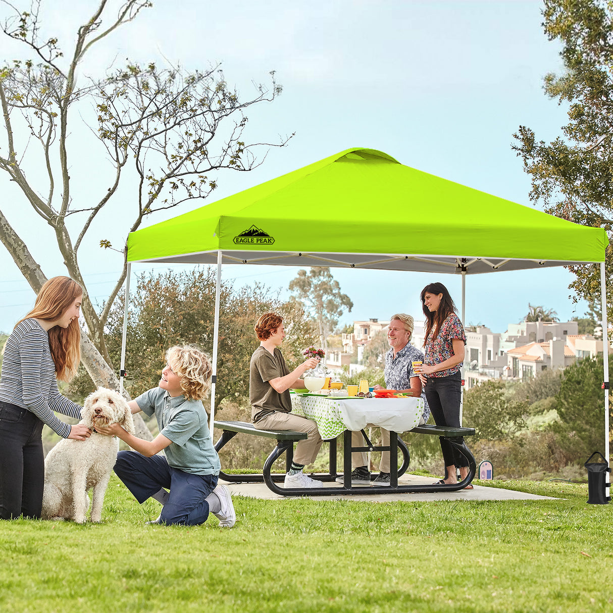 Easy Setup Straight Leg 10x10 Pop Up Canopy Tent w/ 100 sqft of Shade