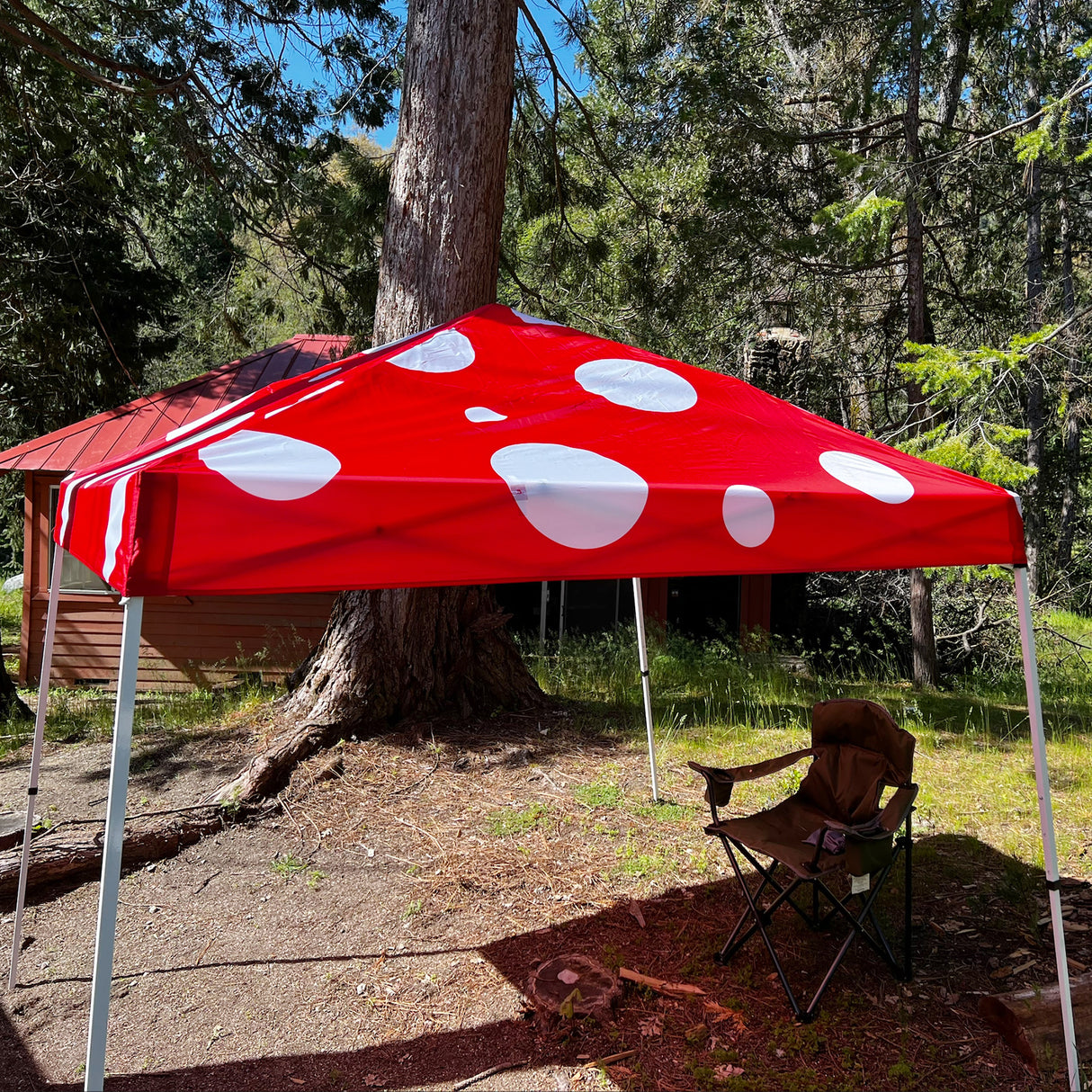 Slant Leg Pop up Canopy Tent, 10x10 Base 8x8 Top with SHADE GRAPHiX High Quality Digital Printed Top