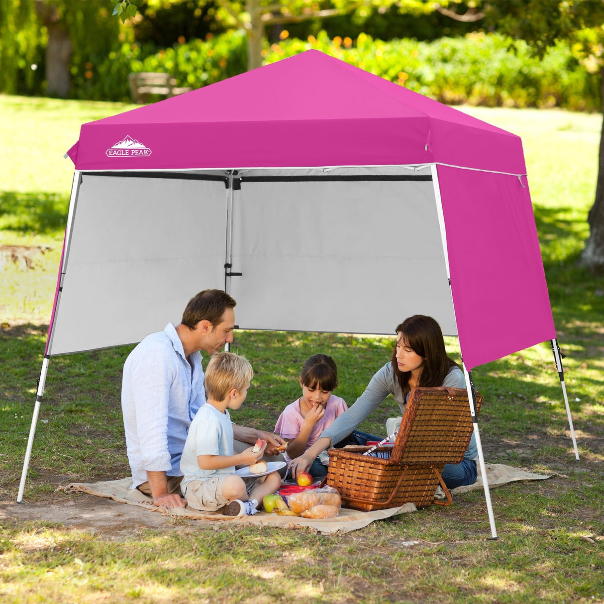 Day Tripper 8x8 Aluminum Super - Lightweight Slant Leg Pop Up Canopy with 3 Removable Walls - Eagle Peak Custom Canopy Tent