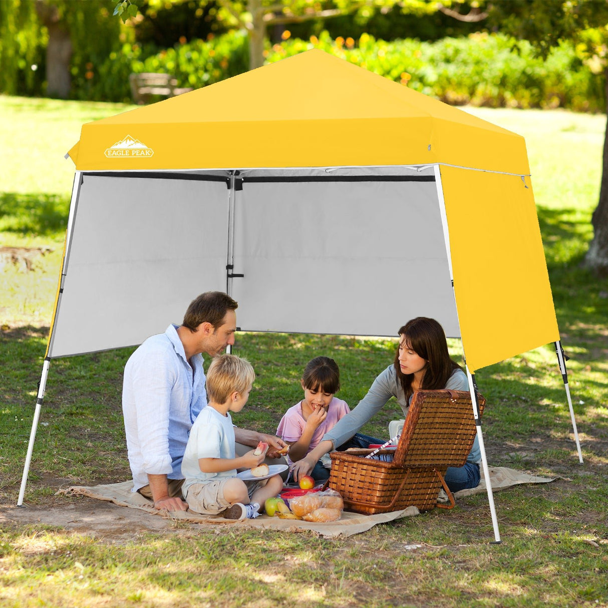 Day Tripper 8x8 Aluminum Super - Lightweight Slant Leg Pop Up Canopy with 3 Removable Walls - Eagle Peak Custom Canopy Tent