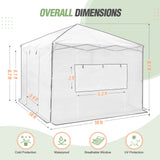 EAGLE PEAK 10x10 Pop - up Walk - in Greenhouse - Eagle Peak Canopy and Outdoor Products