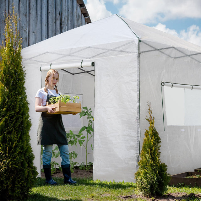 EAGLE PEAK 10x10 Pop - up Walk - in Greenhouse - Eagle Peak Canopy and Outdoor Products