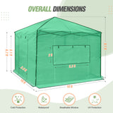 EAGLE PEAK 10x10 Pop - up Walk - in Greenhouse - Eagle Peak Canopy and Outdoor Products