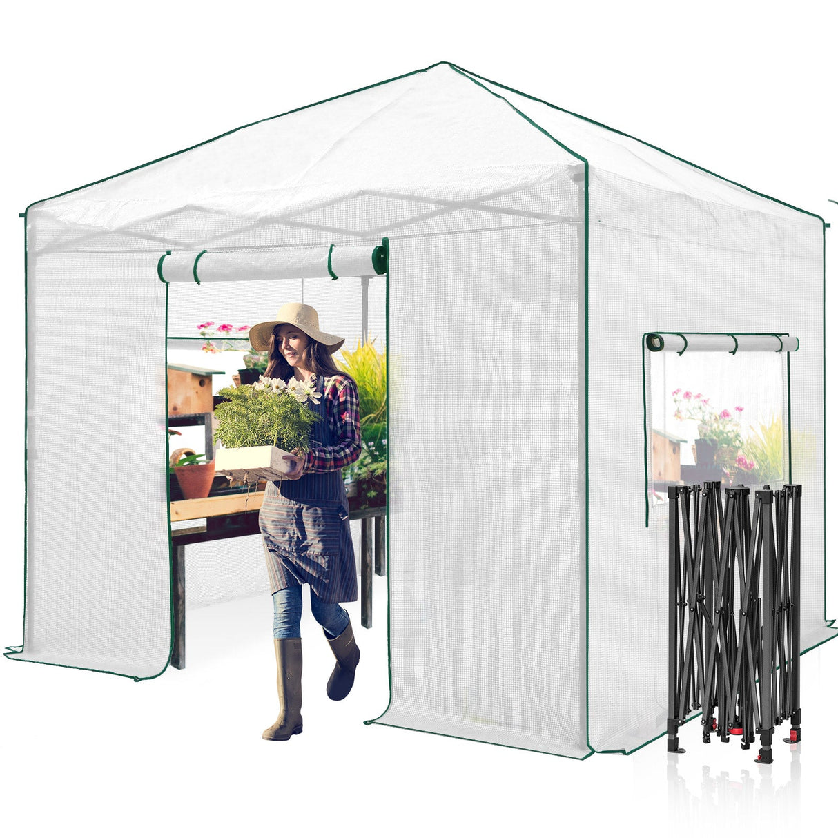 EAGLE PEAK 10x10 Pop - up Walk - in Greenhouse - Eagle Peak Canopy and Outdoor Products