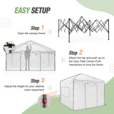 EAGLE PEAK 10x10 Pop - up Walk - in Greenhouse - Eagle Peak Canopy and Outdoor Products