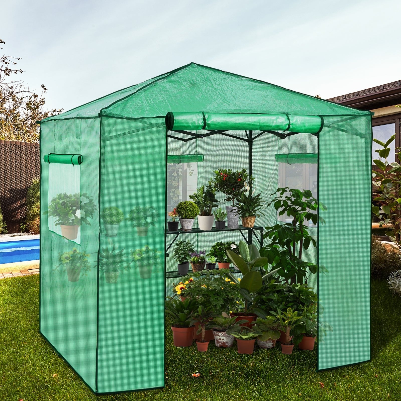 7x7 Pop Up Greenhouse Portable Walk In with 2 Foldable Shelves