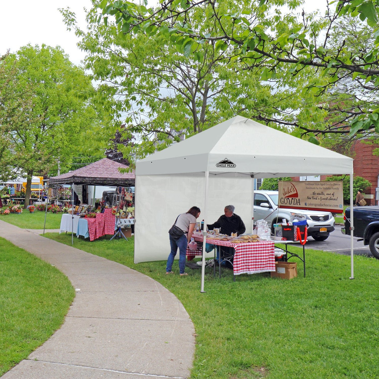 EAGLE PEAK Canopy SunWall for 10x10 Commercial Pop Up Canopy, 1 Sidewall - Eagle Peak Canopy and Outdoor Products