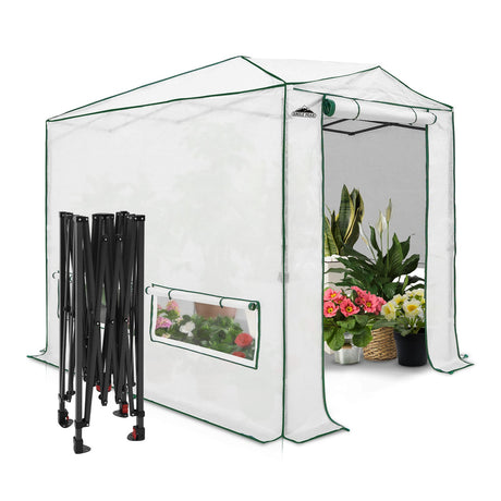 EAGLE PEAK Easy Fast Setup Instan 8x6 Pop Up Walk In Greenhouse - Eagle Peak Canopy and Outdoor Products