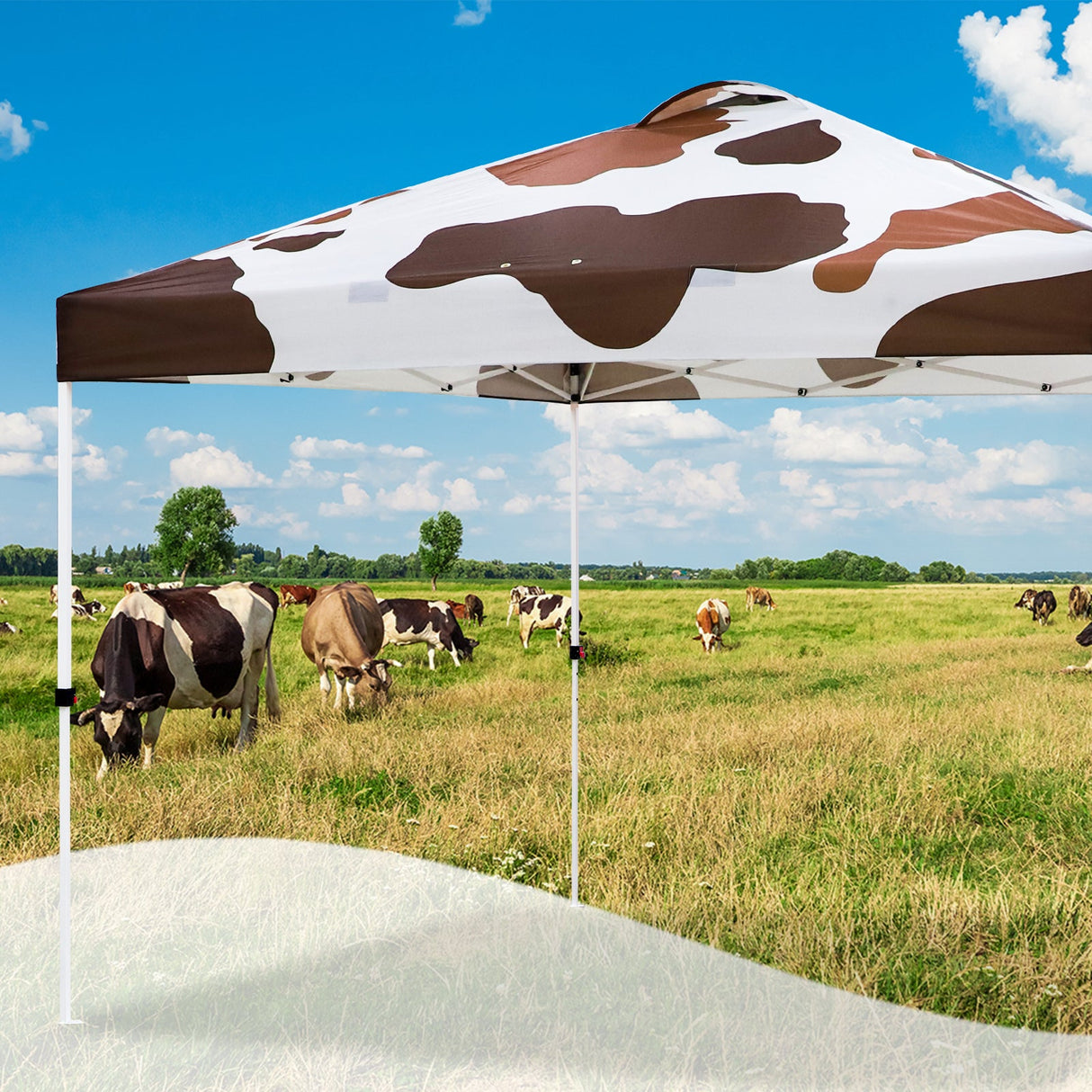 EAGLE PEAK Pop Up Canopy Tent with Wheeled Carry Bag, 8 Stakes, 4 Ropes, 4 Weight Bags, 10x10 ft, 100sqft of Shade, Brown Cow Print - Eagle Peak Custom Canopy & Greenhouse