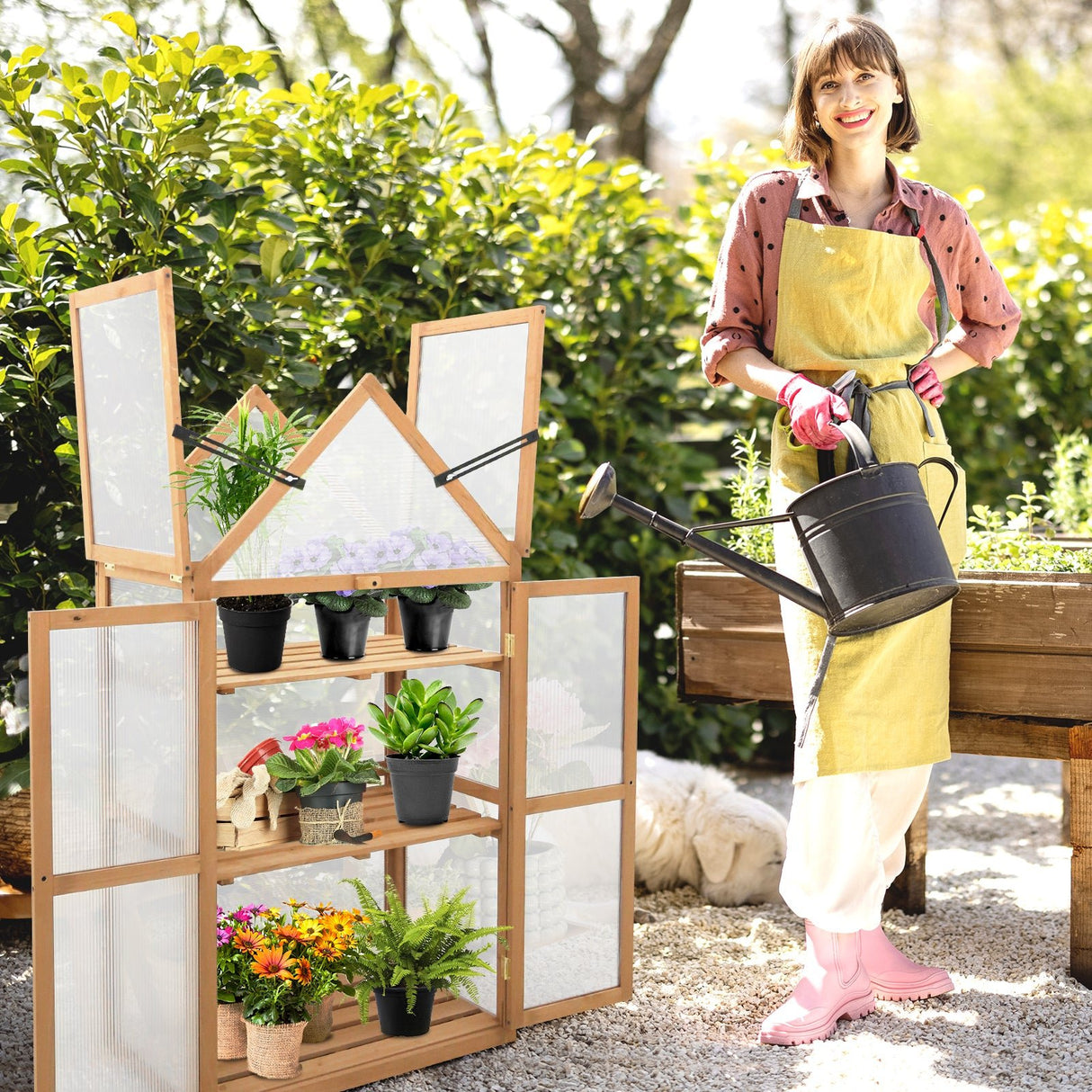 Garden Cold Frame Greenhouse with Adjustable Shelf, 27x16x52 in - Eagle Peak Custom Canopy Tent