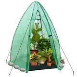 Portable Mini Dome Greenhouse - Eagle Peak Custom Canopy Tent